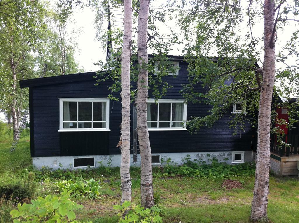 Birk Husky - Guesthouse & Cabins Svanvik Exterior foto