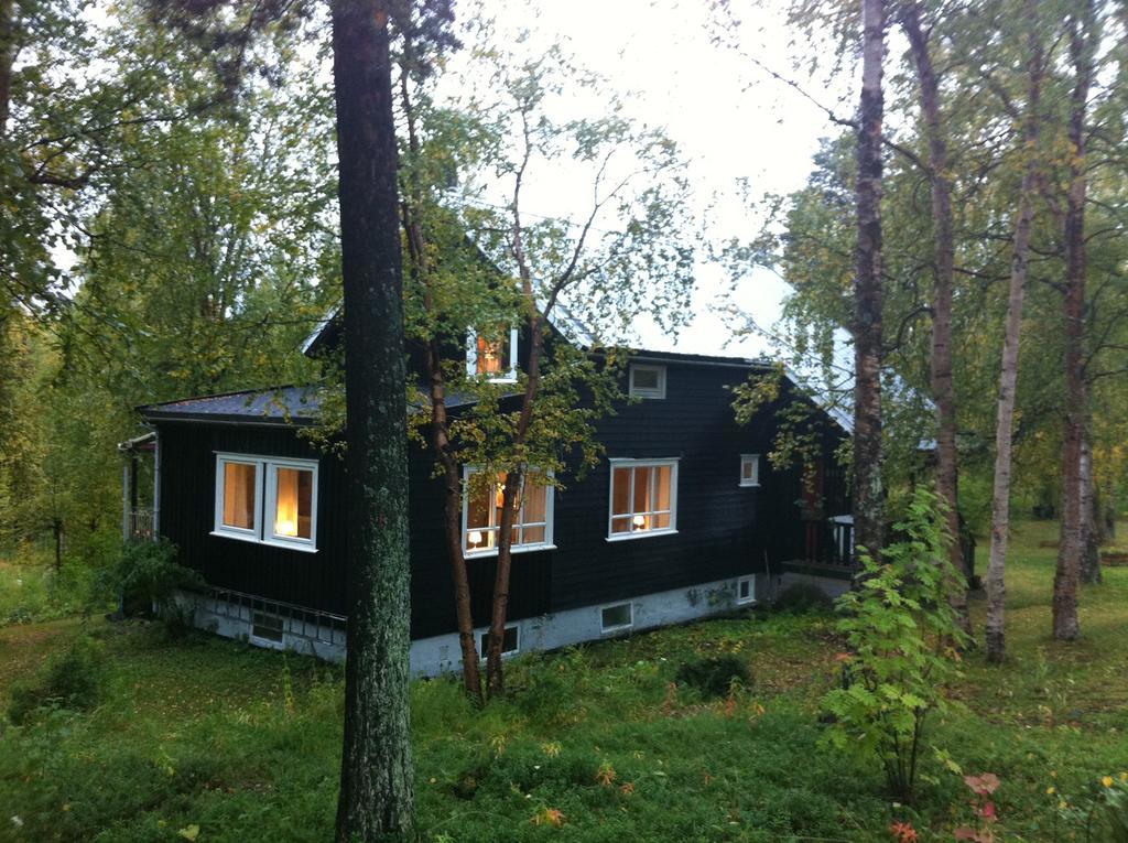 Birk Husky - Guesthouse & Cabins Svanvik Zimmer foto